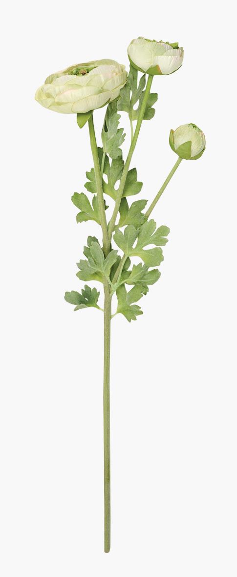 Blomst grønn - 18x14x63,5 cm grønn - 1