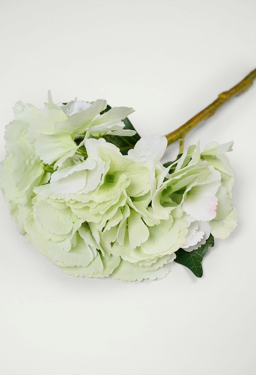 Blomst lys grønn - 2