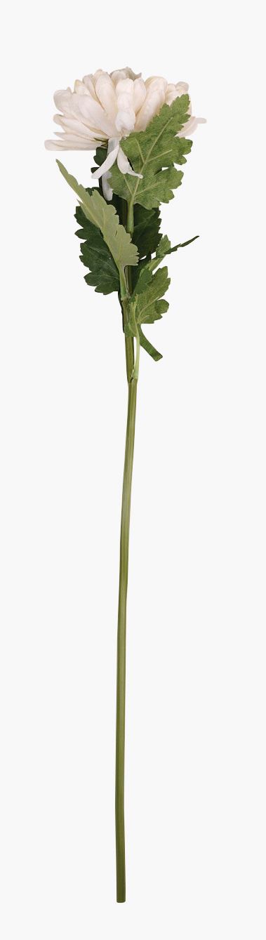 Blomst hvit - 19x17x71 cm hvit - 1