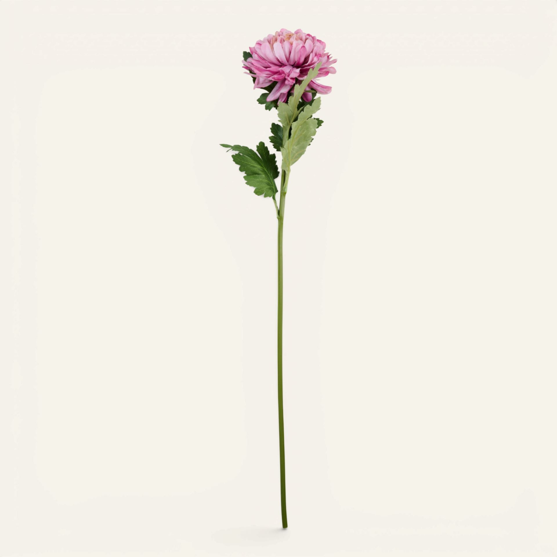Blomst gammelrosa - 19x17x71 cm gammelrosa - 1
