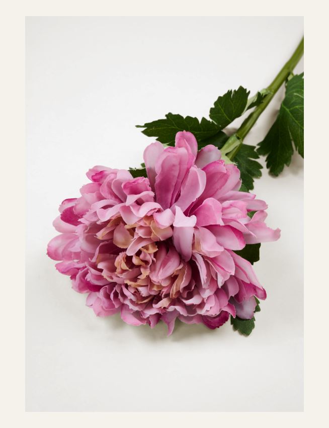 Blomst gammelrosa - 2