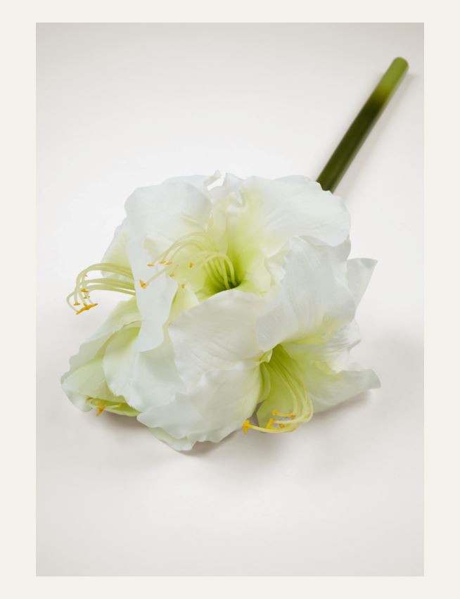 Blomst hvit - 2