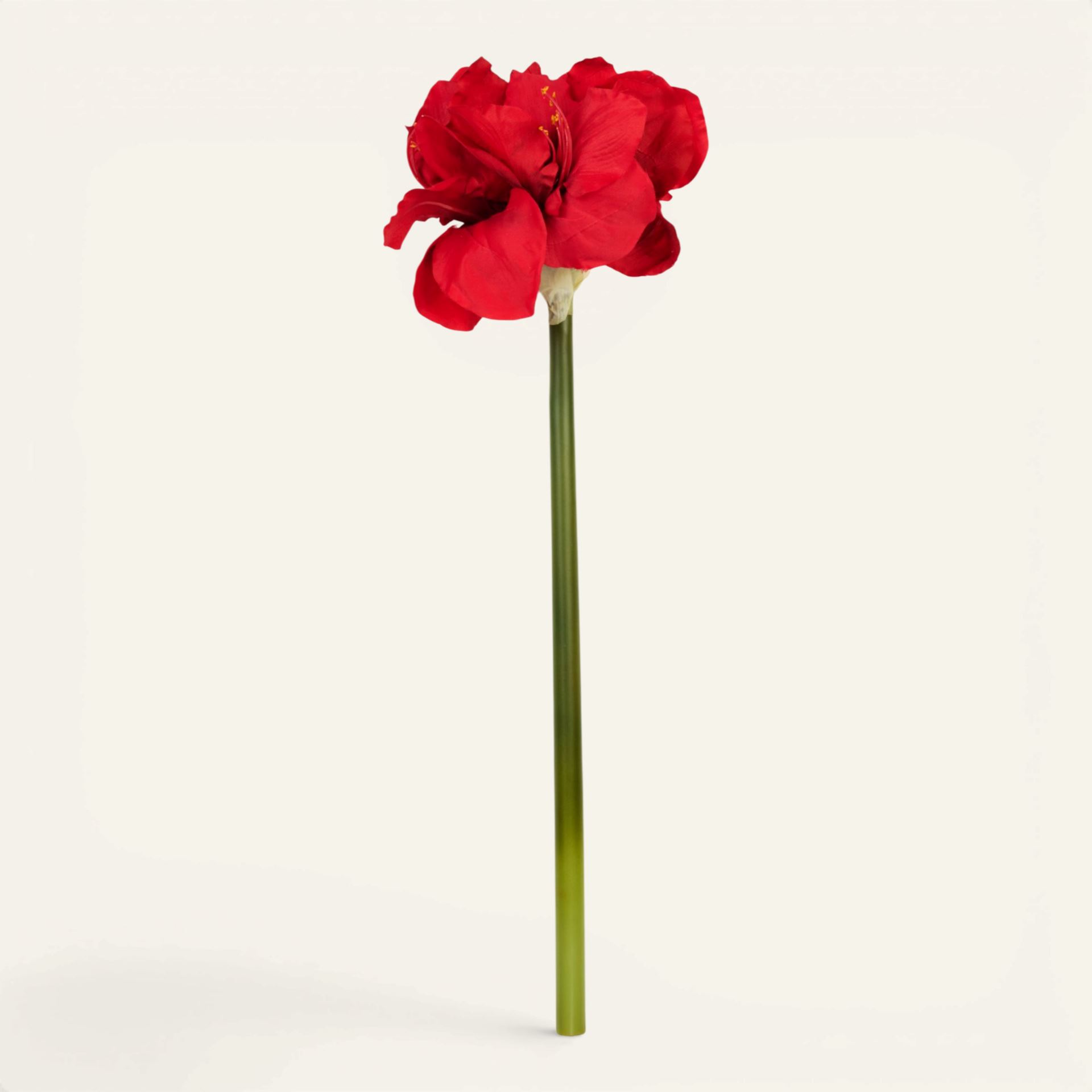 Blomst rød - 25x22x61 cm rød - 1