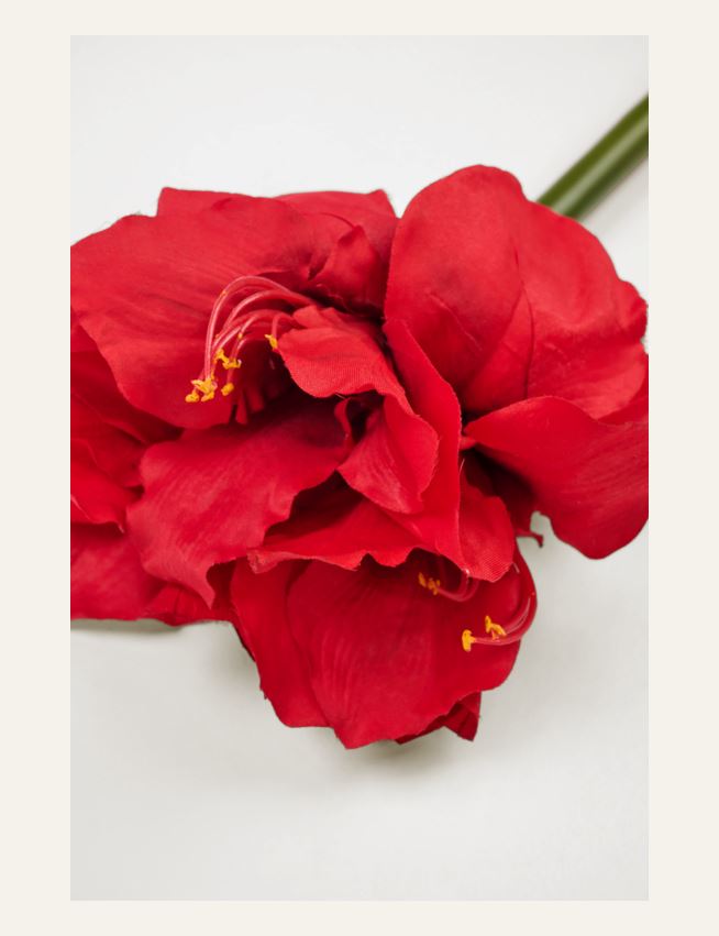 Blomst rød - 2