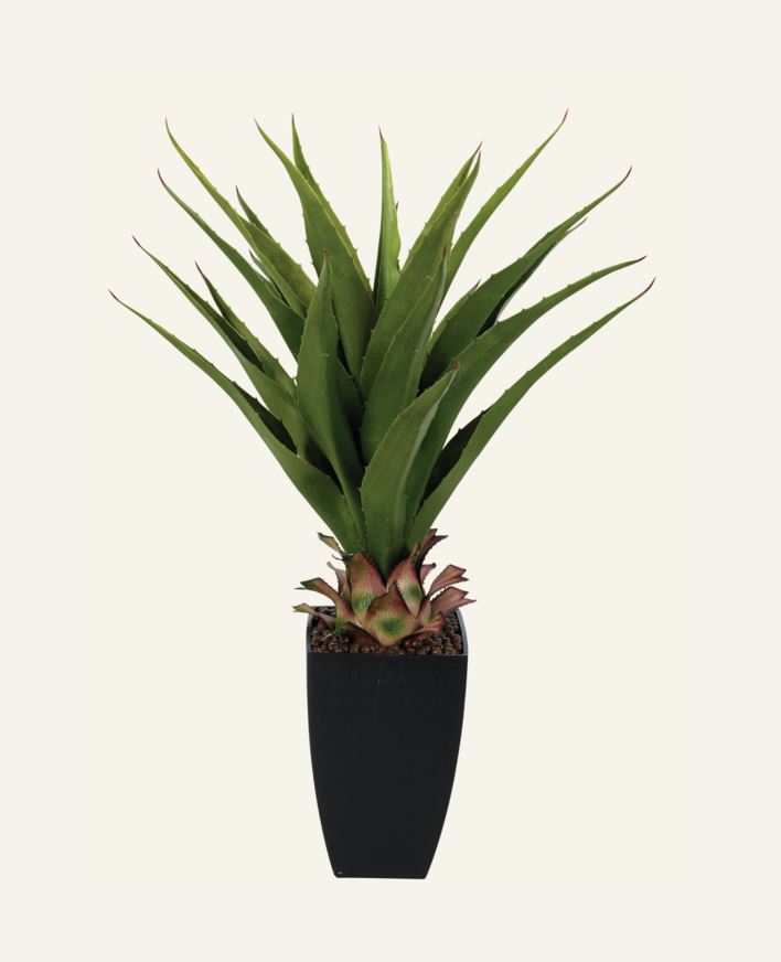 Plante grønn - 75 cm grønn - 1