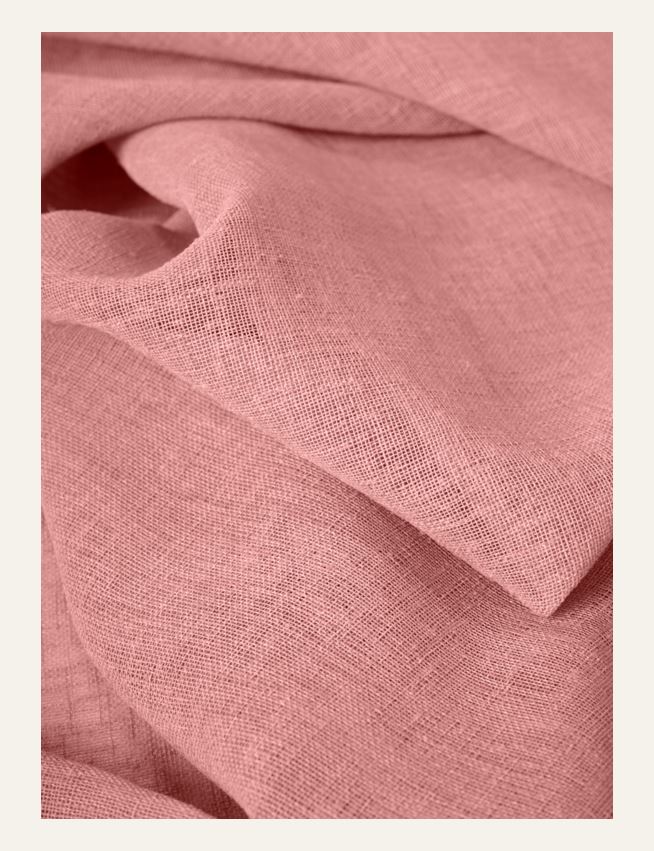 Gardin engelsk rose - 6