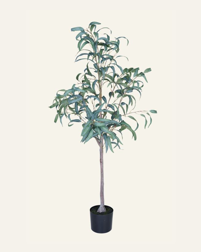 Plante grønn - 55x50x150 cm grønn - 1