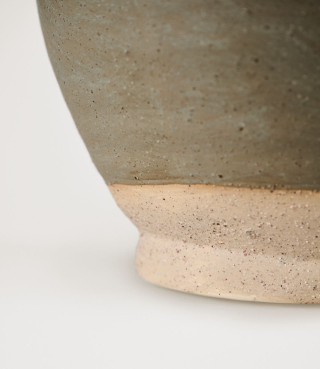 Krukke sjøgress - 4