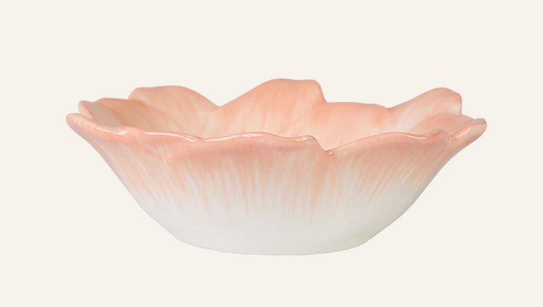 Skål korall - 2
