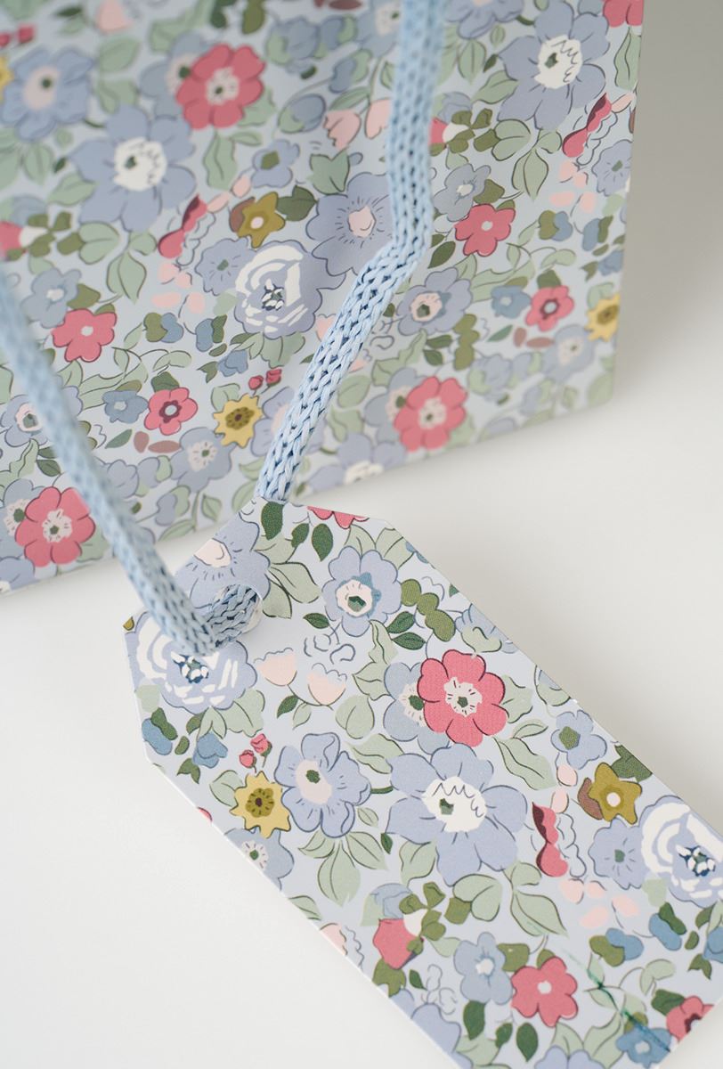 Gavepose multi blå - 2