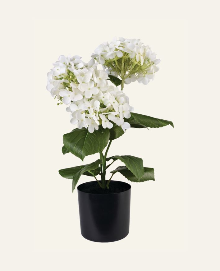 Plante hvit - 26x26x43 cm hvit - 1