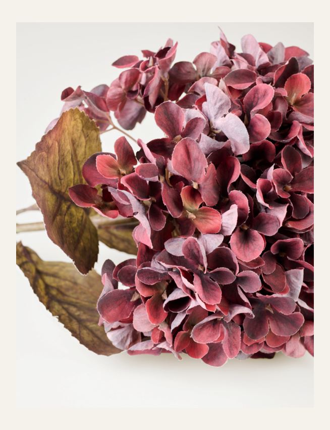 Blomst burgunder - 2