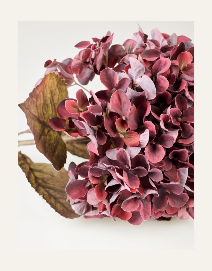 Blomst burgunder - 2