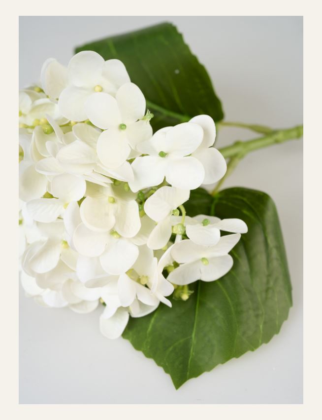 Blomst hvit - 2
