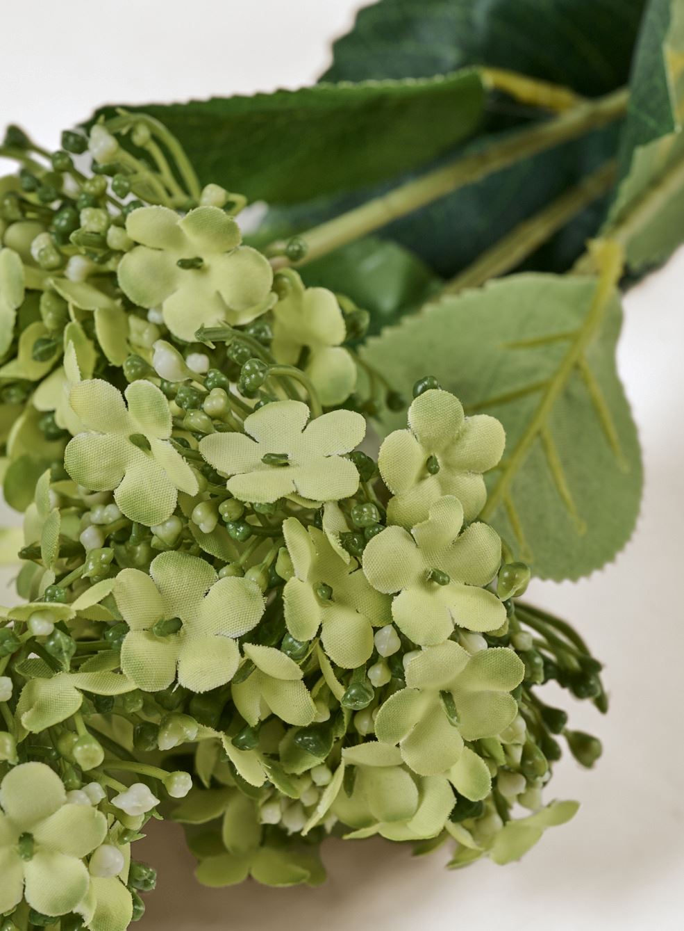 Blomst lys grønn - 2