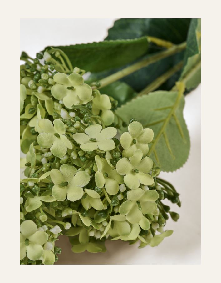 Blomst lys grønn - 2