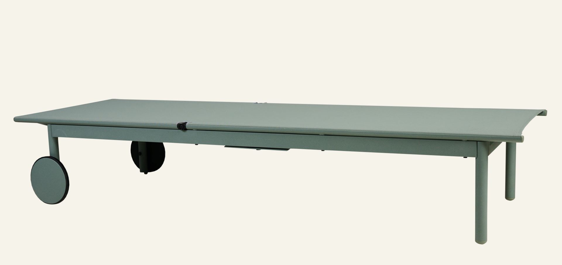 Solseng grågrønn - 4