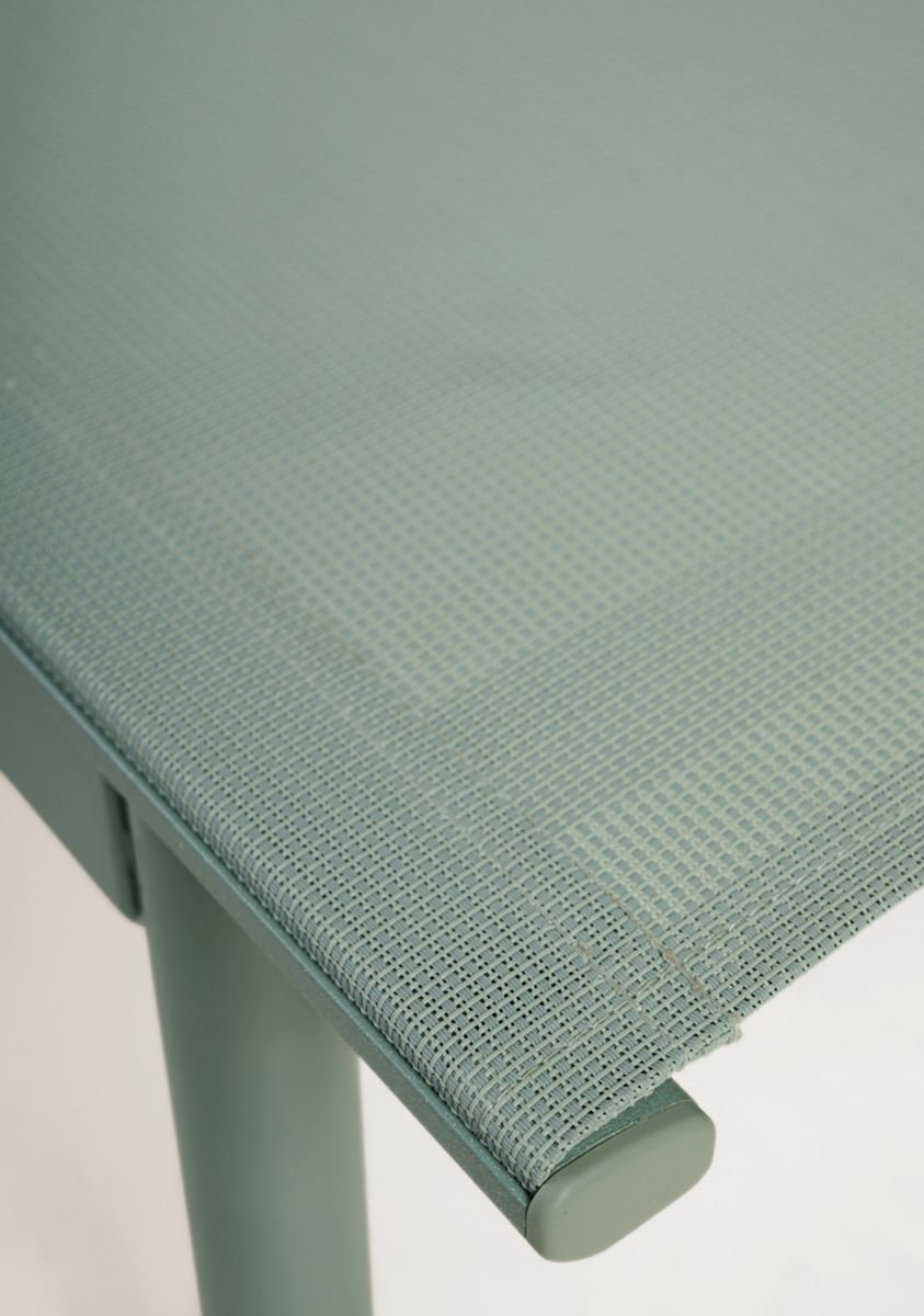 Solseng grågrønn - 5