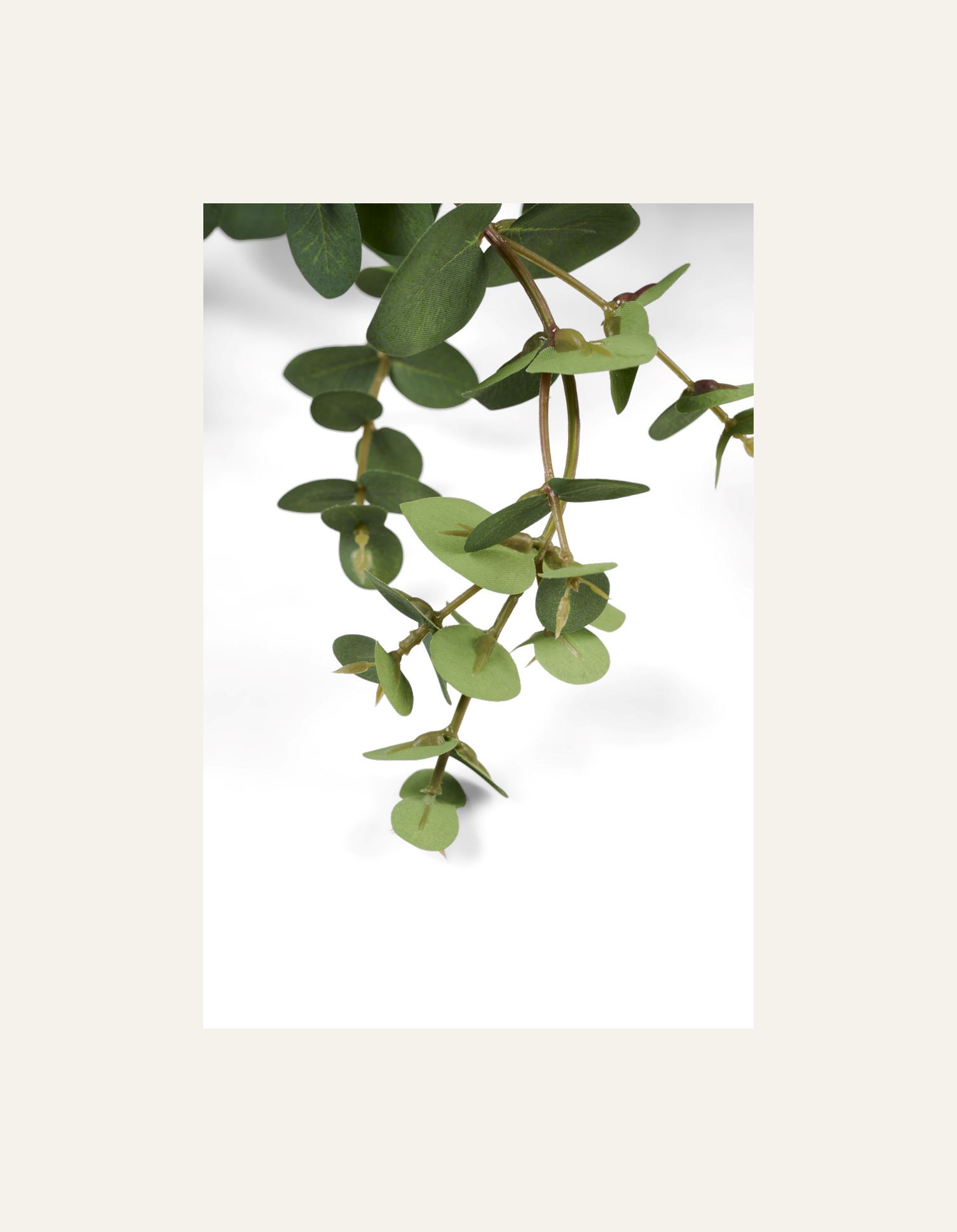 Kvist grønn - 2