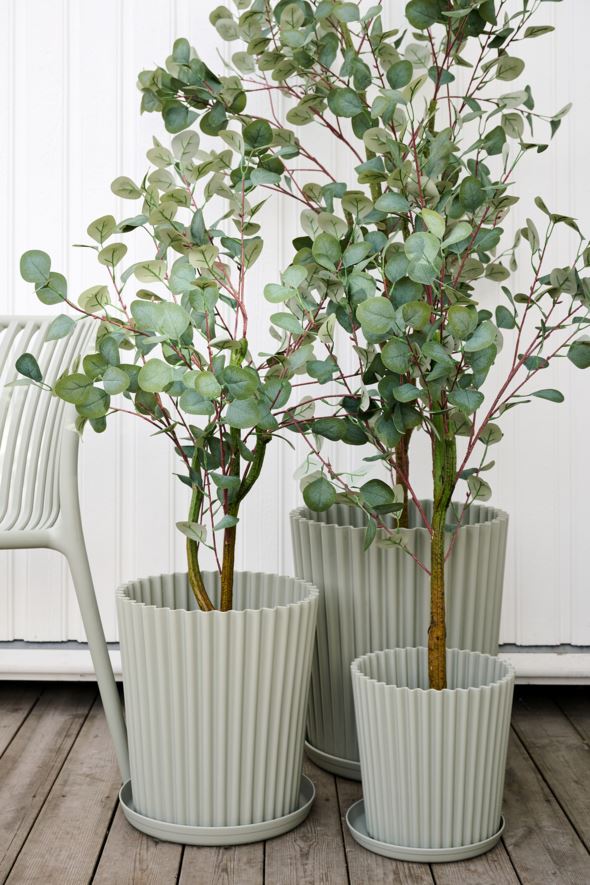 Utepotte grågrønn - 2