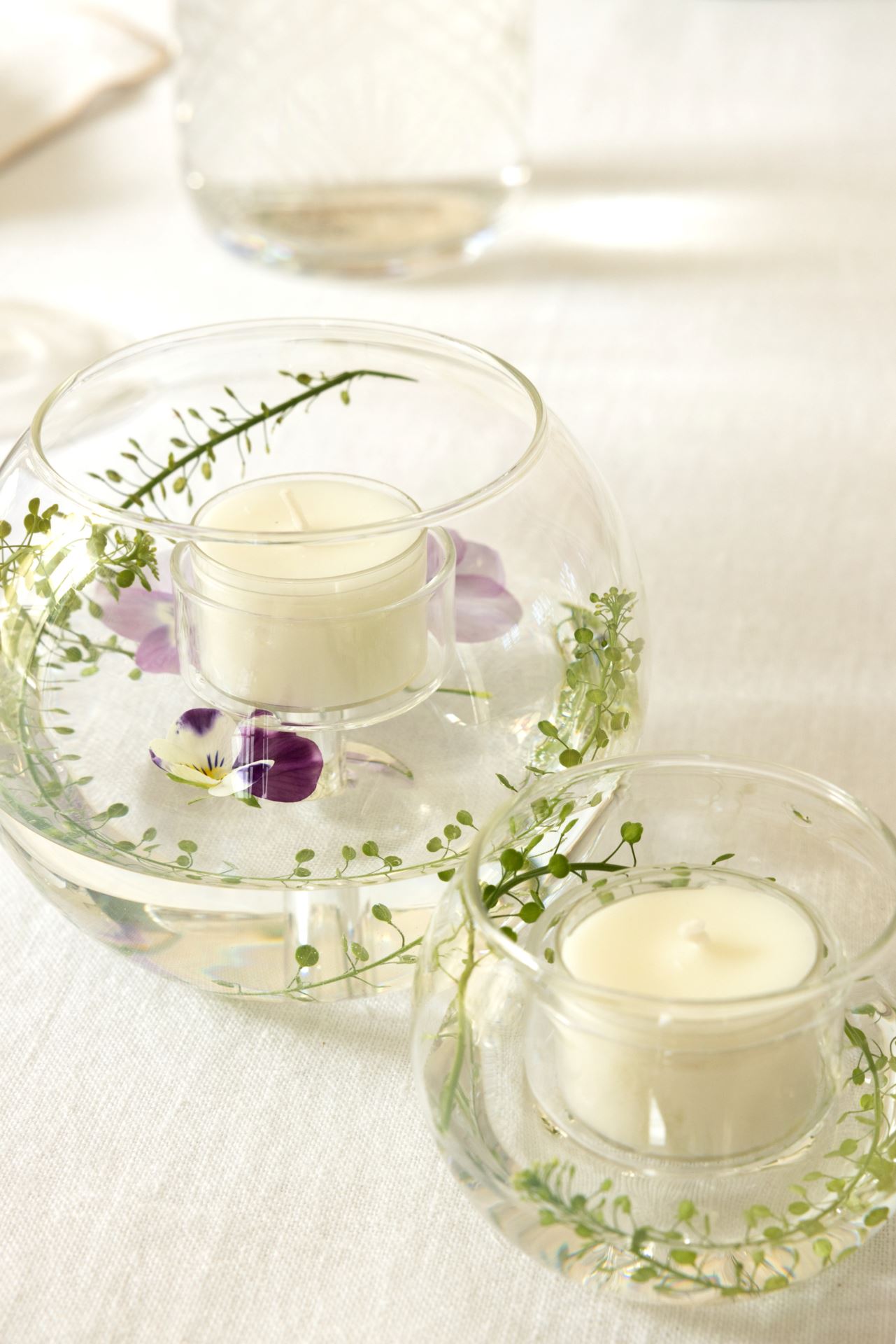 Telysholder transparent - 4