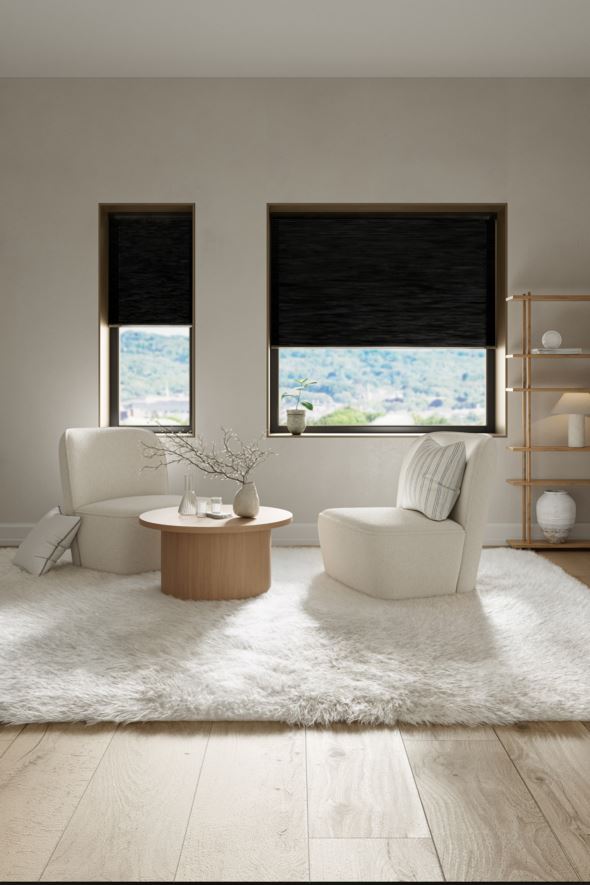 Lysfilt. dobbel plisségardin svart - 90x160 cm svart - 1