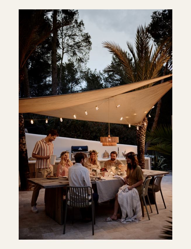 Led lyslenke sjøgress - 2