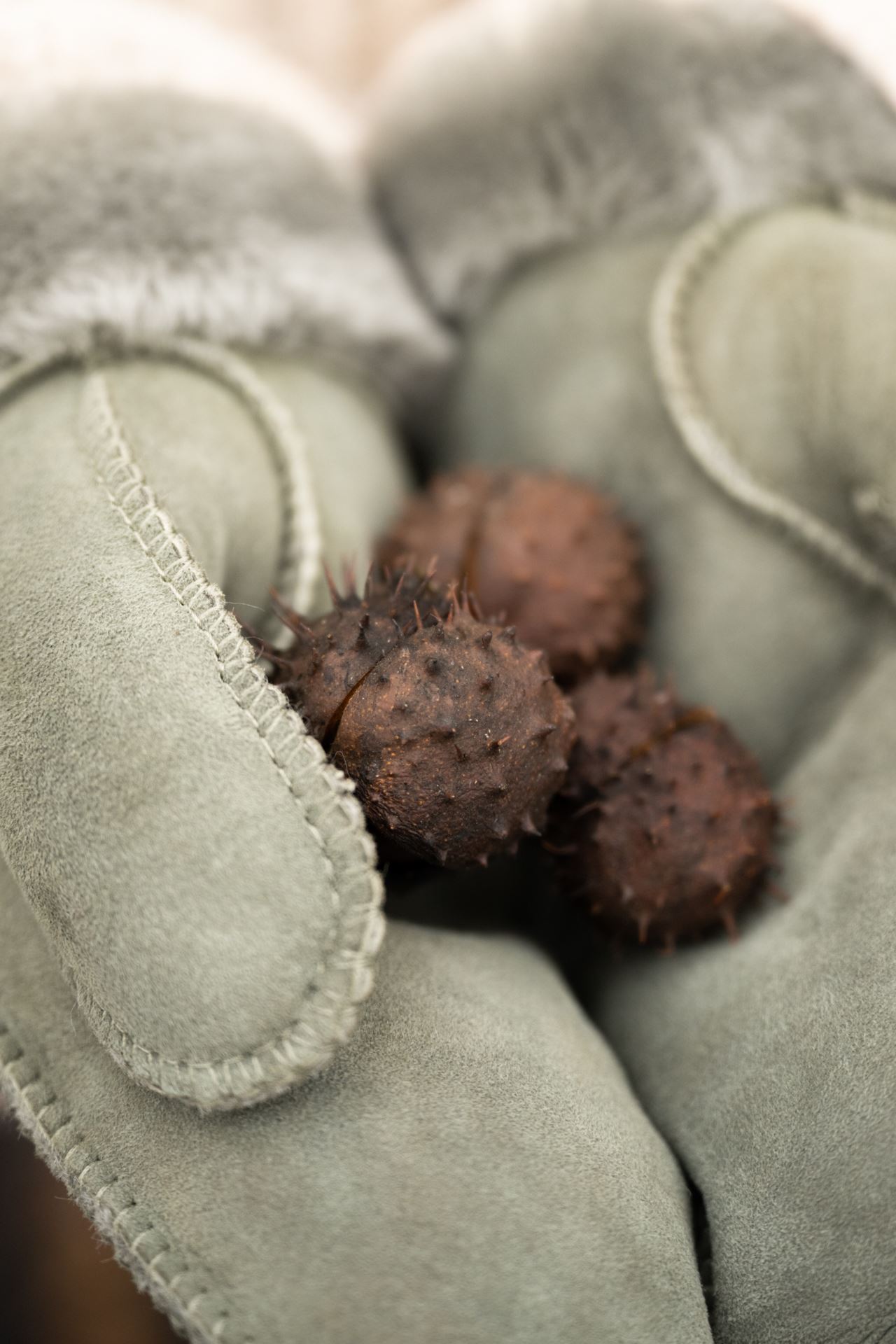 Skinnvott olivengrønn - 5