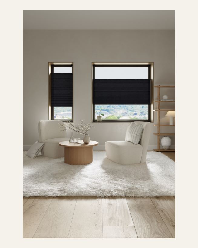 Lysfilt. dobbel plisségardin svart - 80x160 cm svart - 1