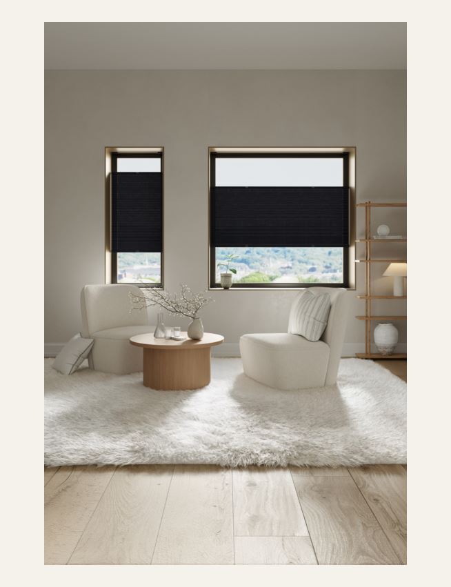 Lysfilt. dobbel plisségardin svart - 3