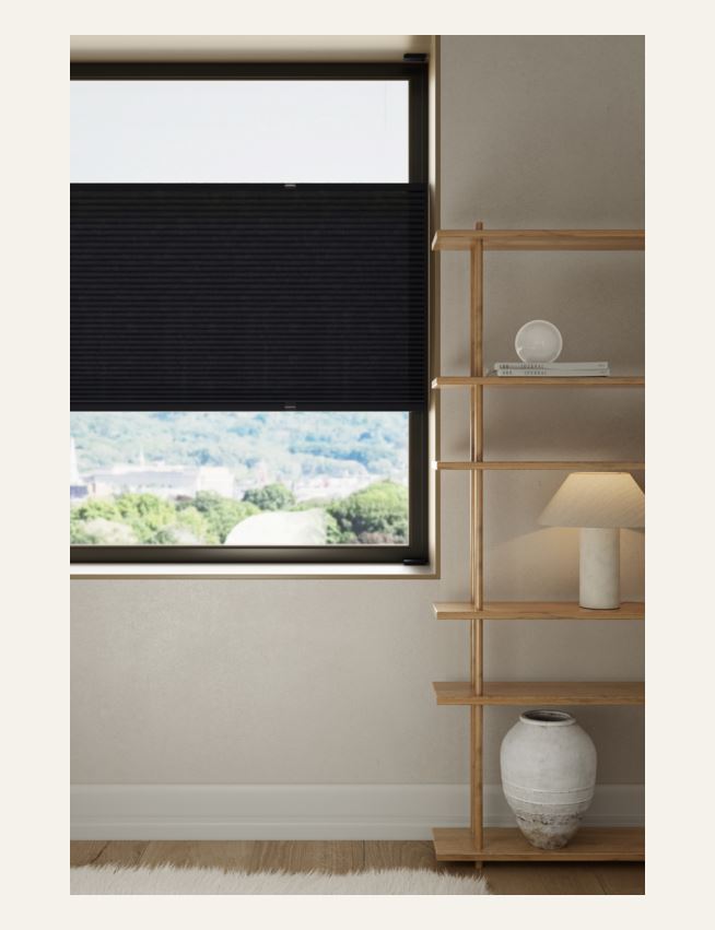 Lysfilt. dobbel plisségardin svart - 2