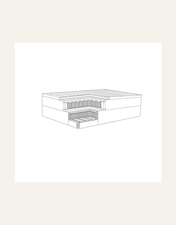 Kontinentalseng beige - 17