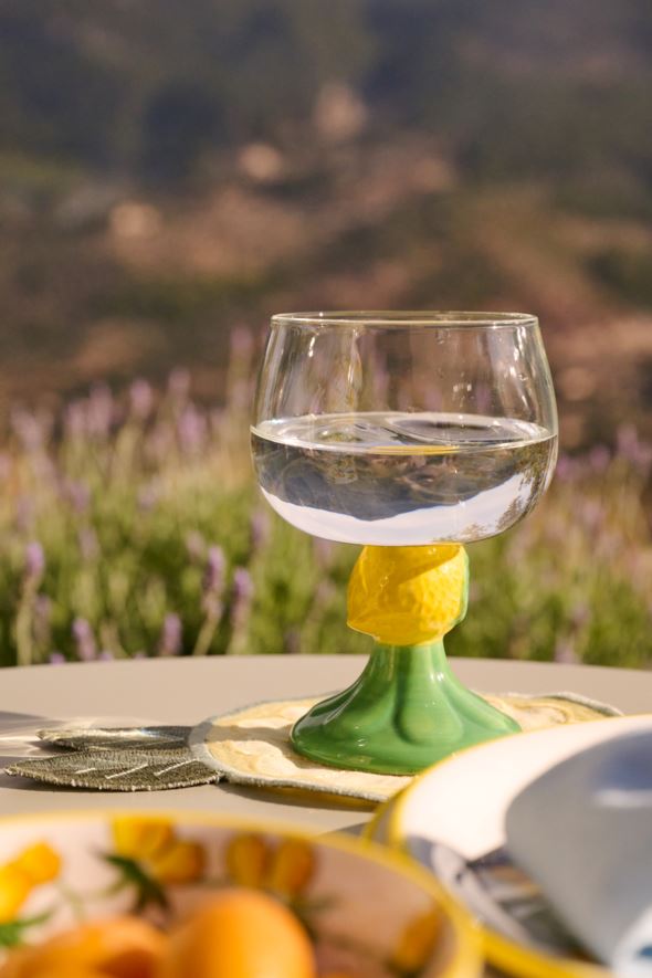 Glass gul - 3