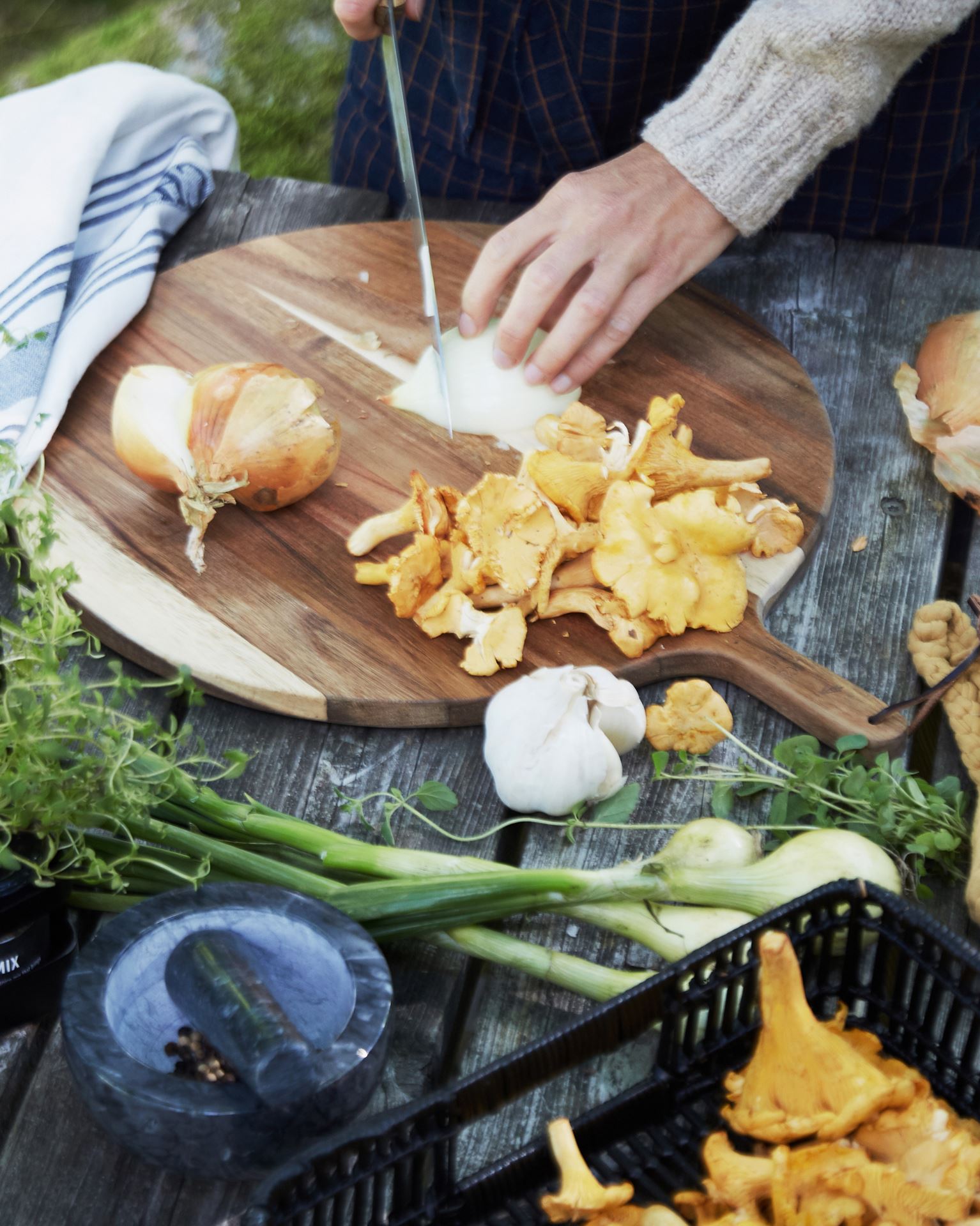 Fjøl                           natur - 4