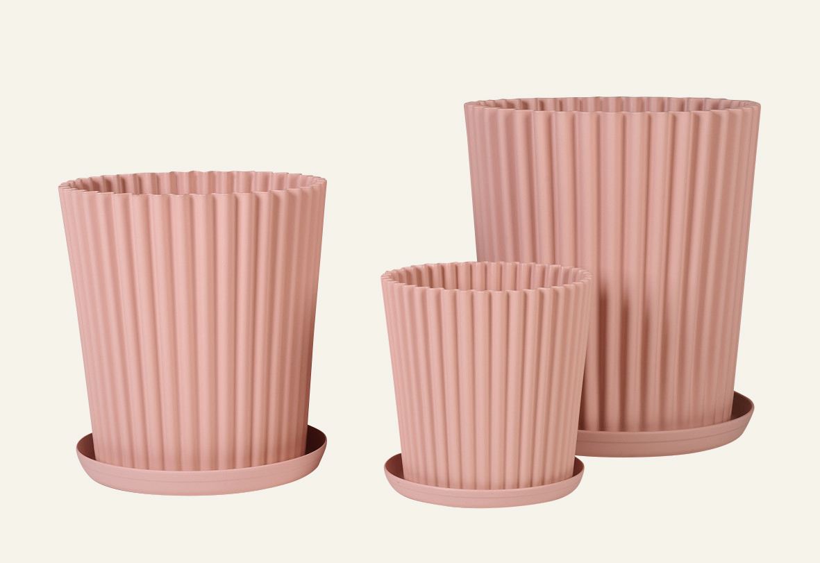 Utepotte pudderrosa - 4