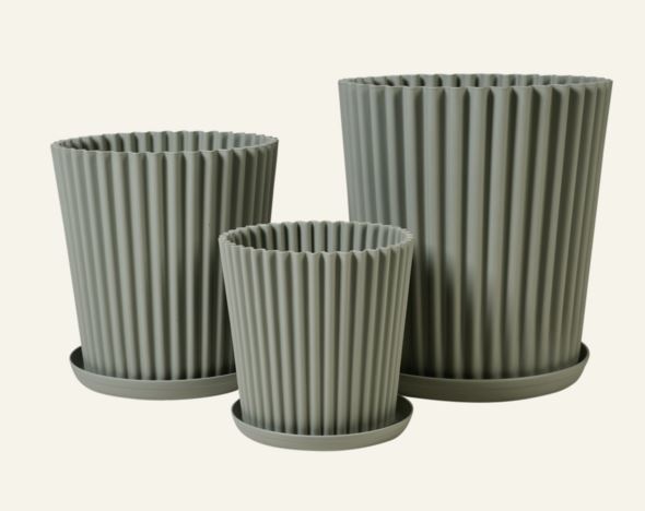 Utepotte grågrønn - 4