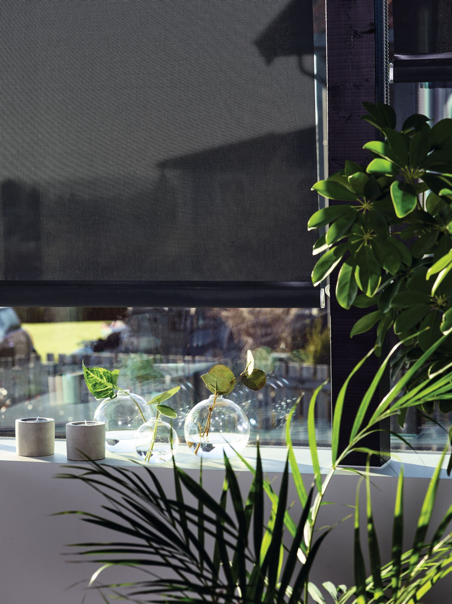 Screen rullegardin koksgrå - 3